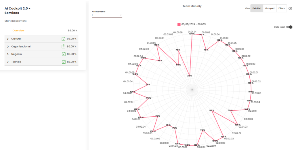 Visualização da página da maturidade do time